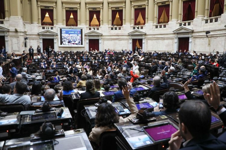 Imagen 3 - Campaña por la Ley Nicolás